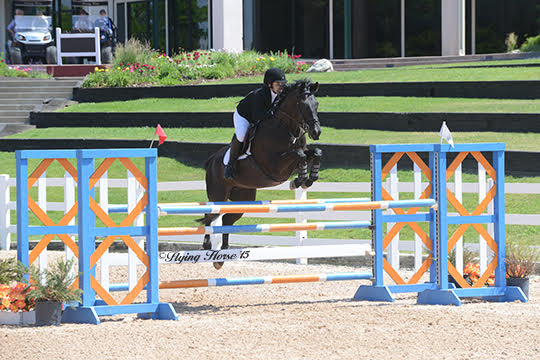 Equestrians saddle up for successful year