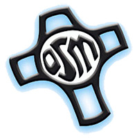 Servite Corner: Sr. Kerry Larkin, O.S.M.