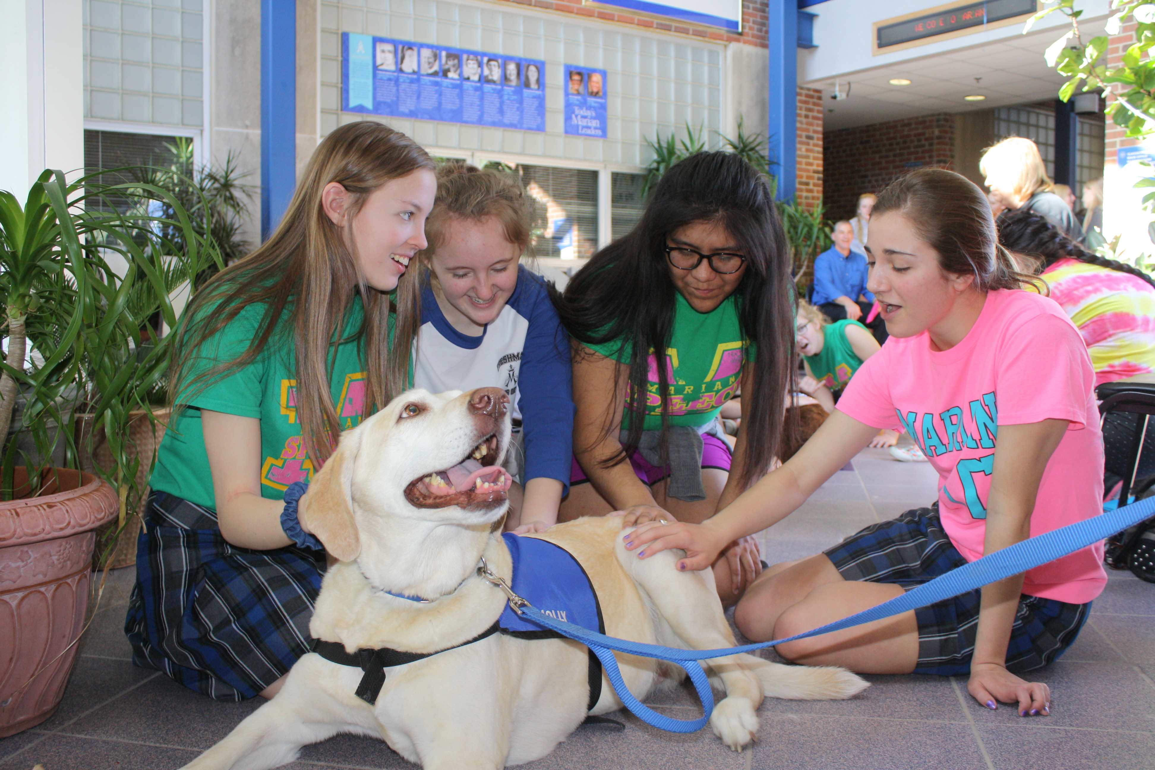 Therapy dogs unLEASH stress