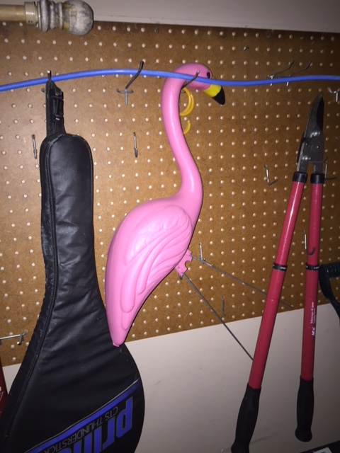 Elfin’ Around the Christmas Tree: The Piernicky’s Unique Way to Christmas Shop