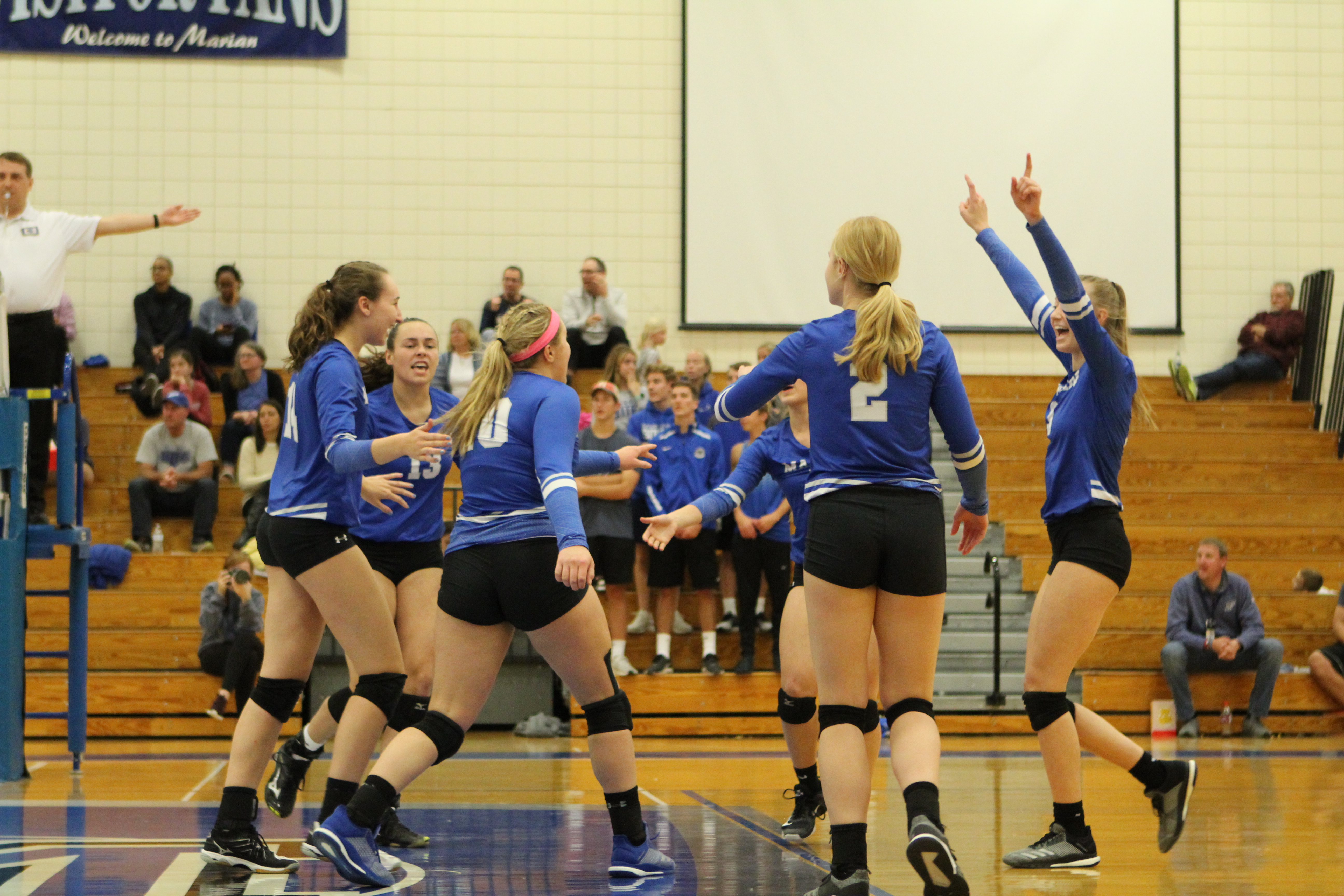 Volleyball team succeeds with help from seniors