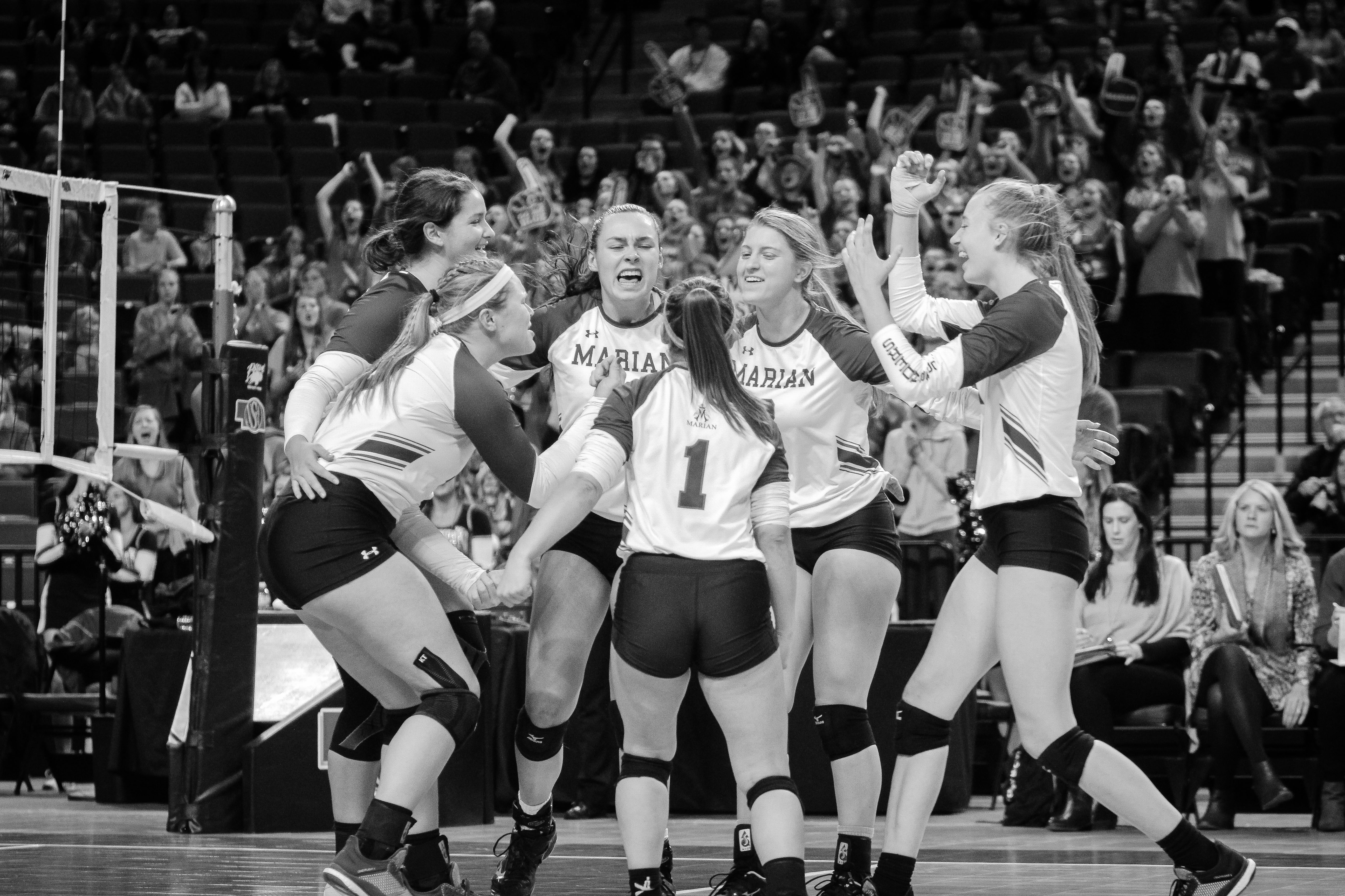 State Volleyball