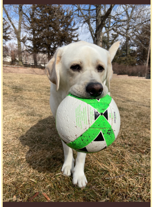 Marian soccer adjusts to NSAA’s announcement to postpone spring sports