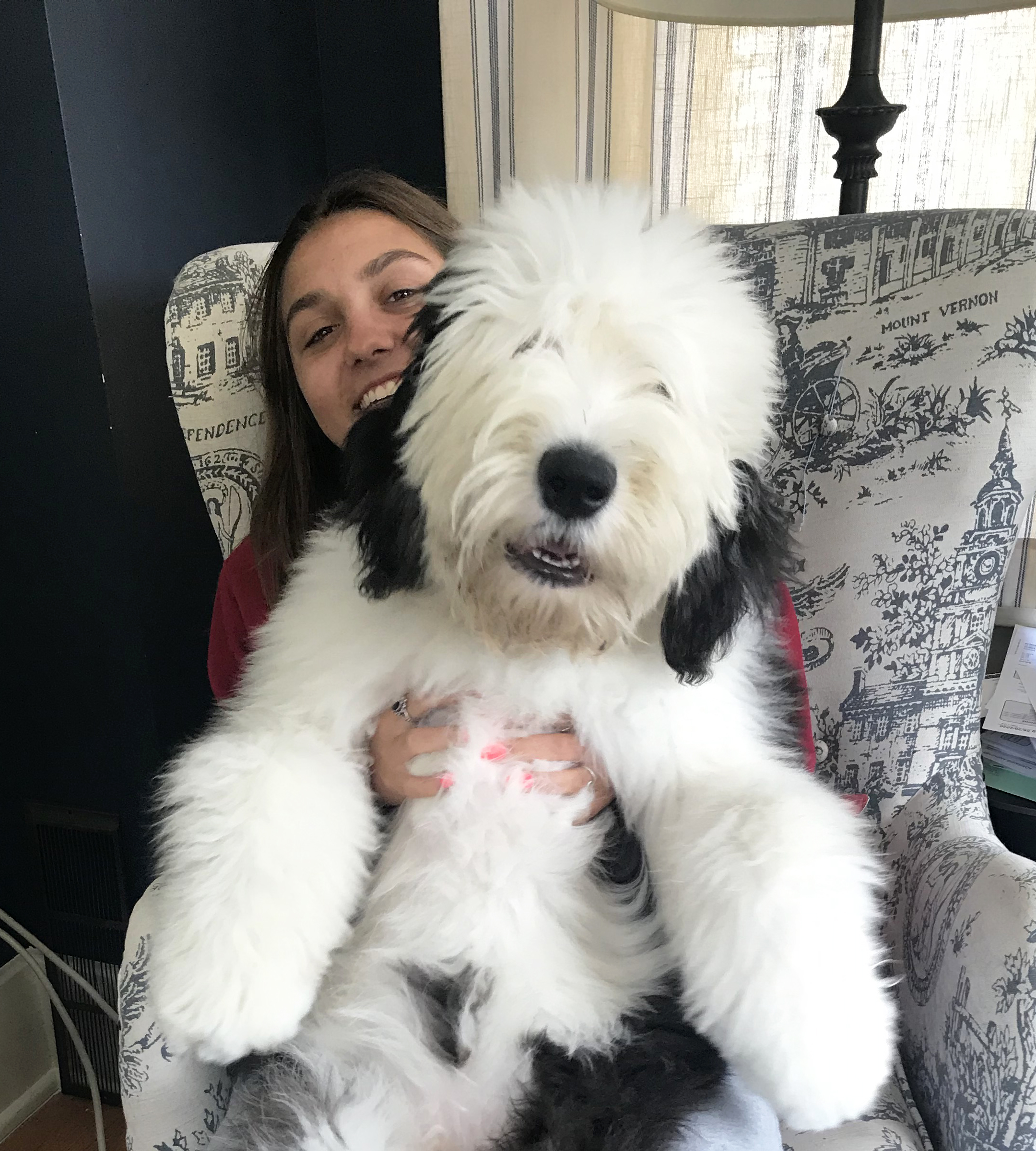 Pets help owners endure pandemic