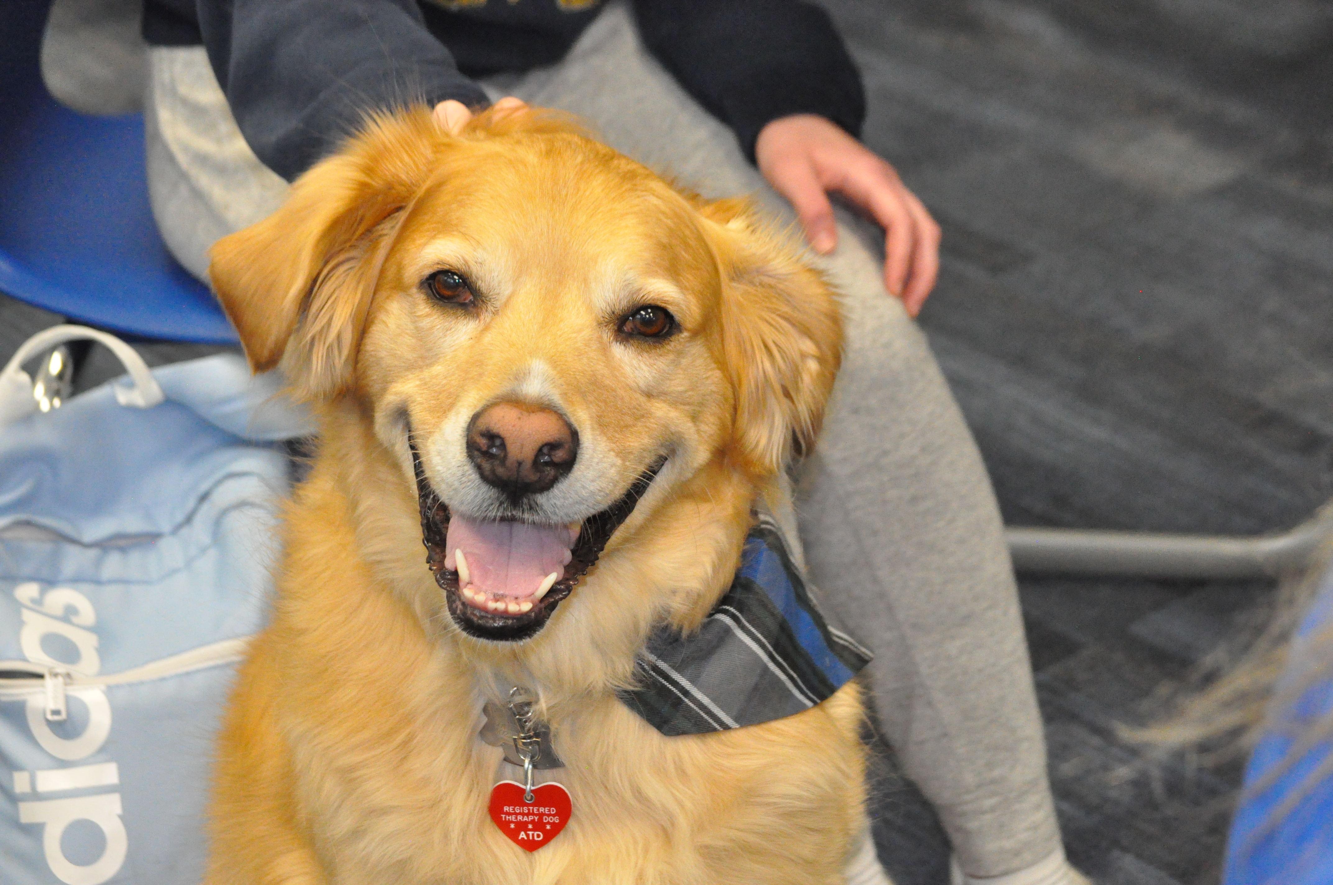 Tucker’s return excitement to students