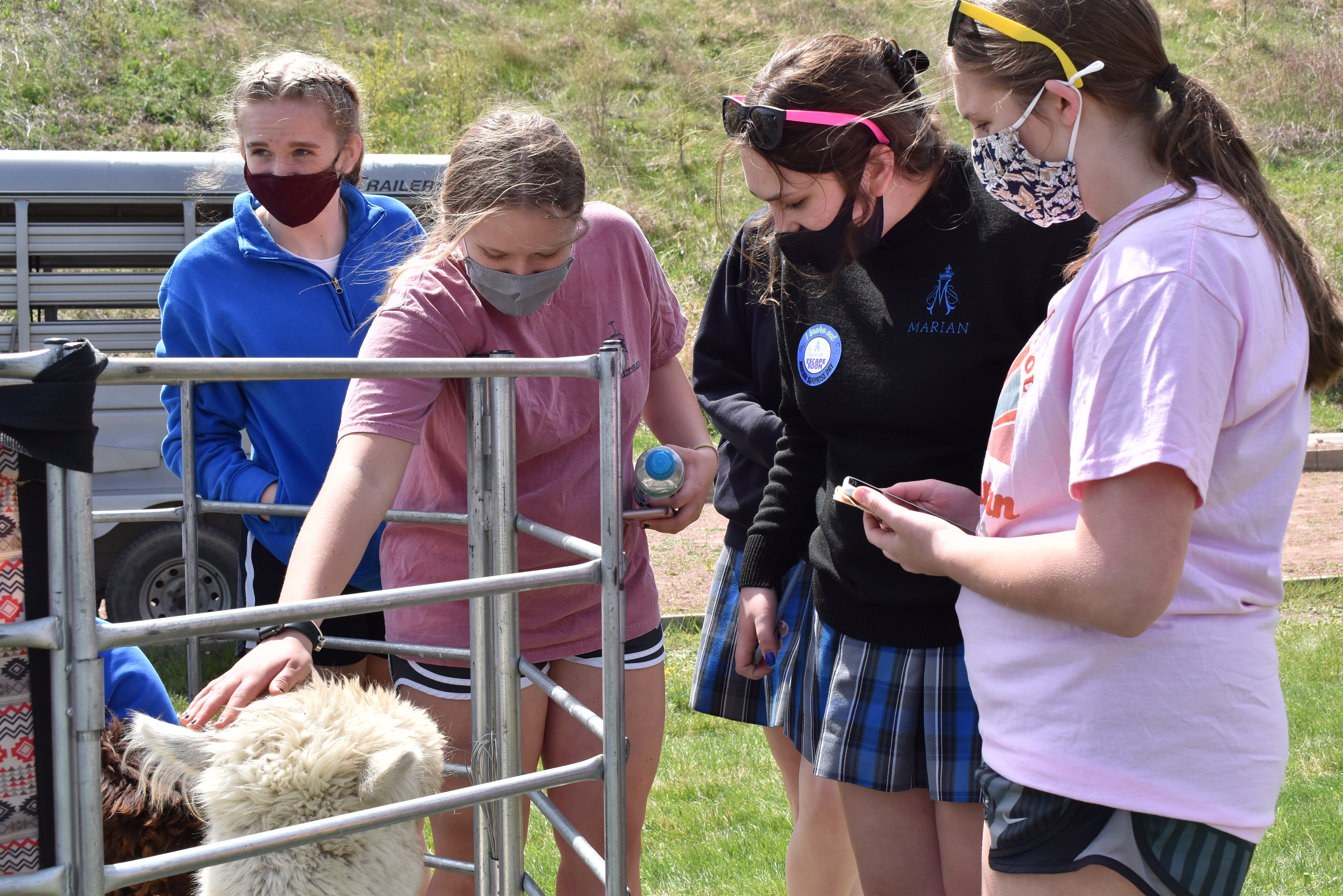 The Evolution of Surprise Day: Tradition evolves year by year