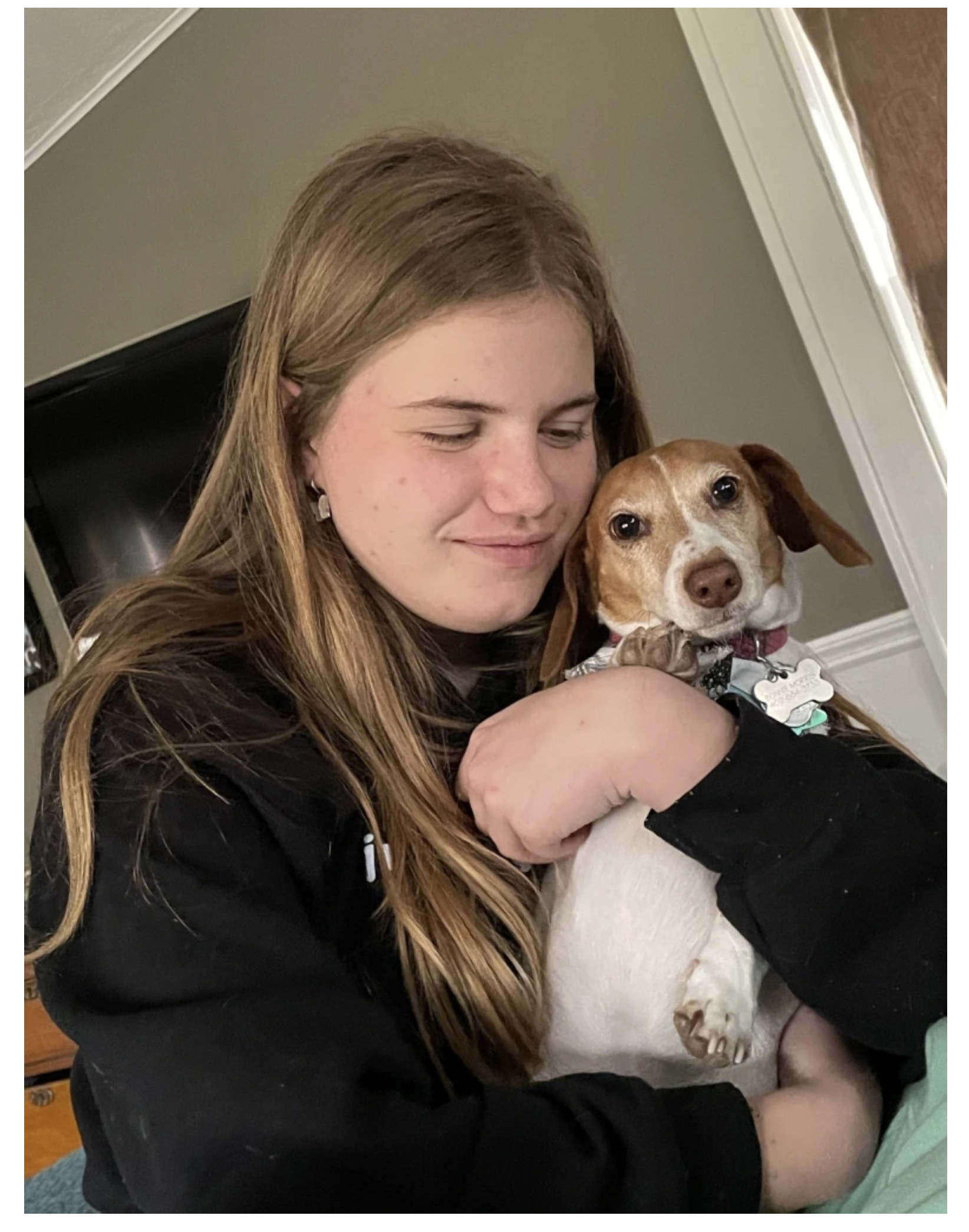 What Do Your Dogs Think About You?