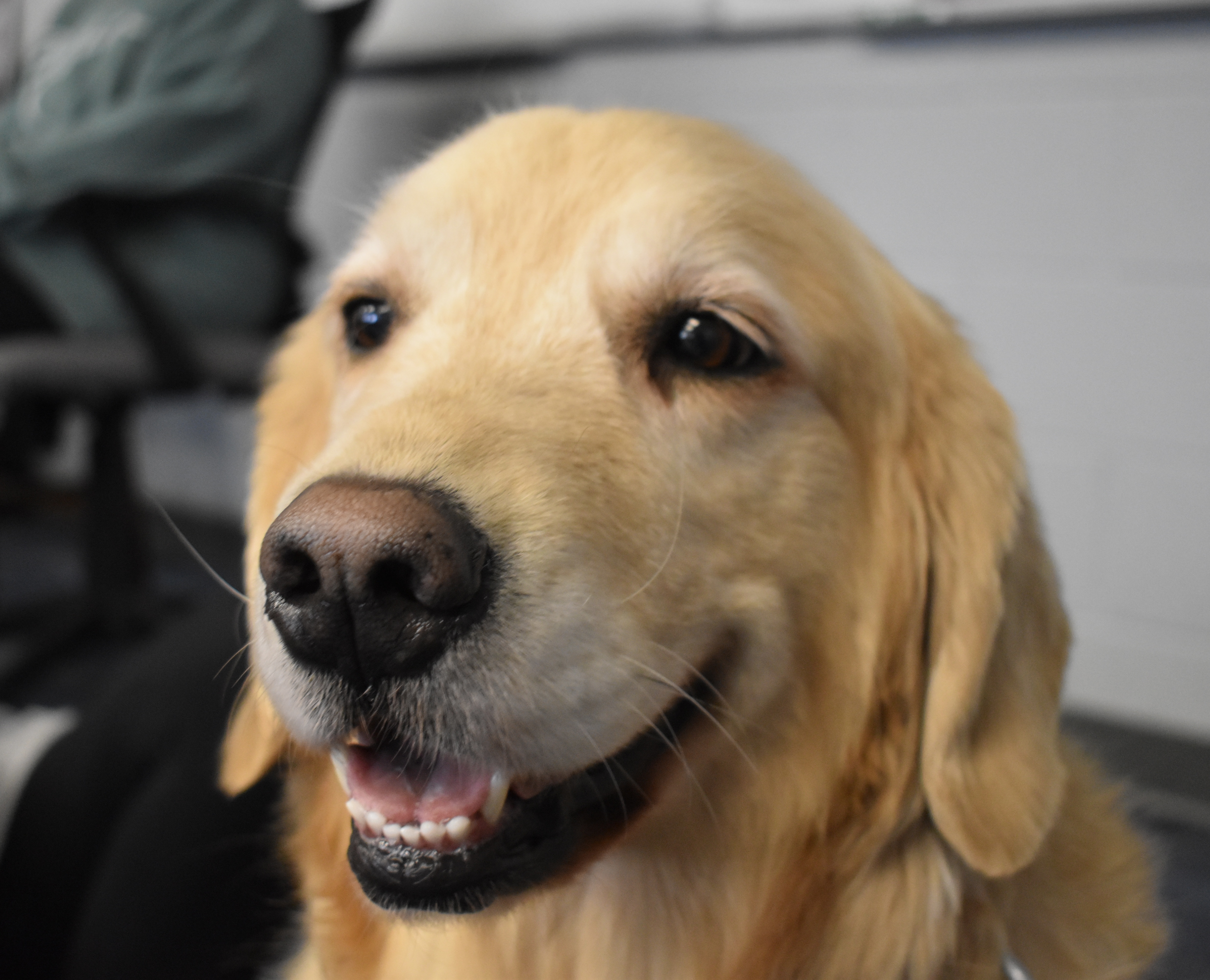 Be grateful for the ordinary moments because they are gone in a flash