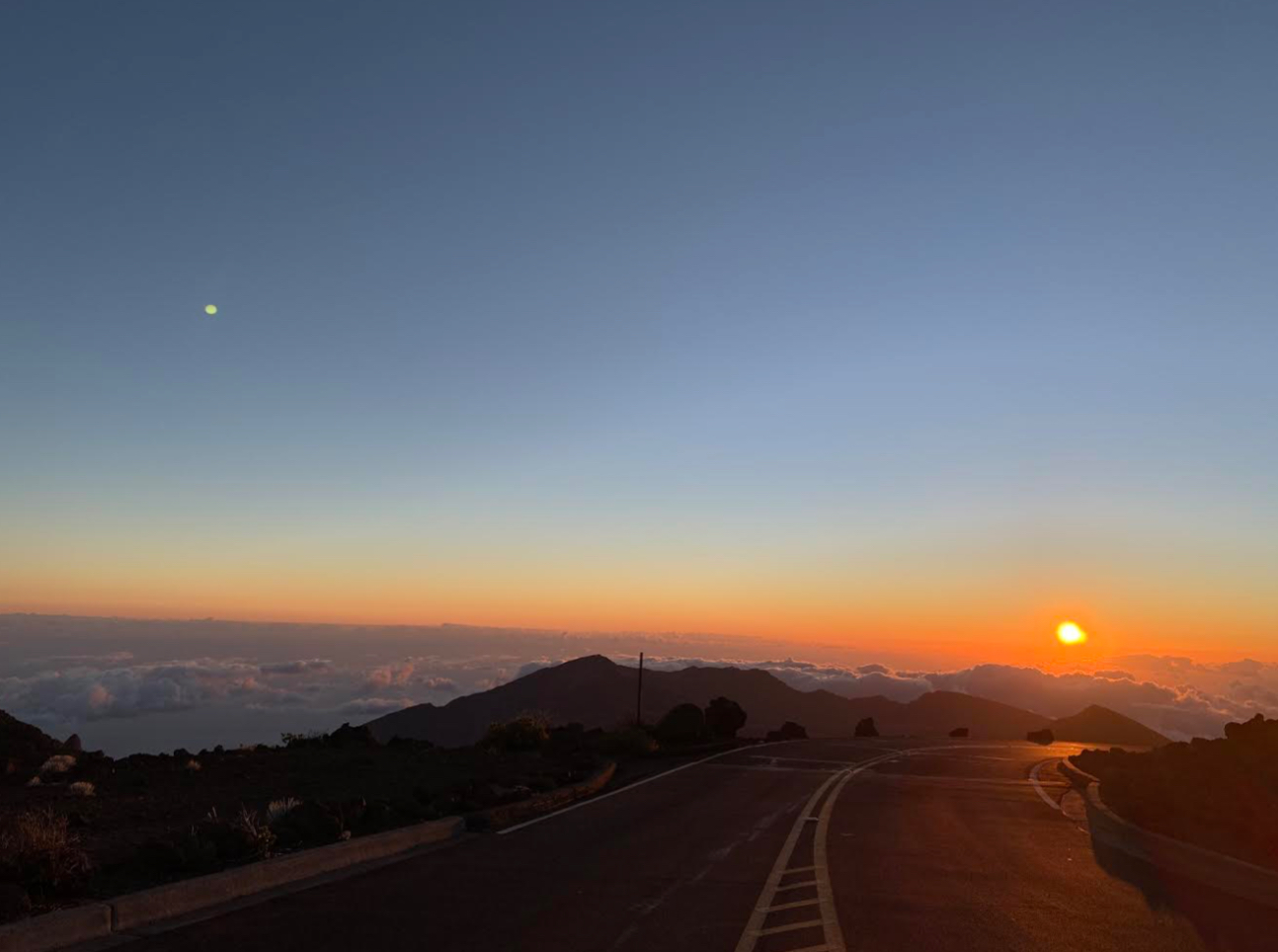 Ellie Peter’s Photo Portfolio