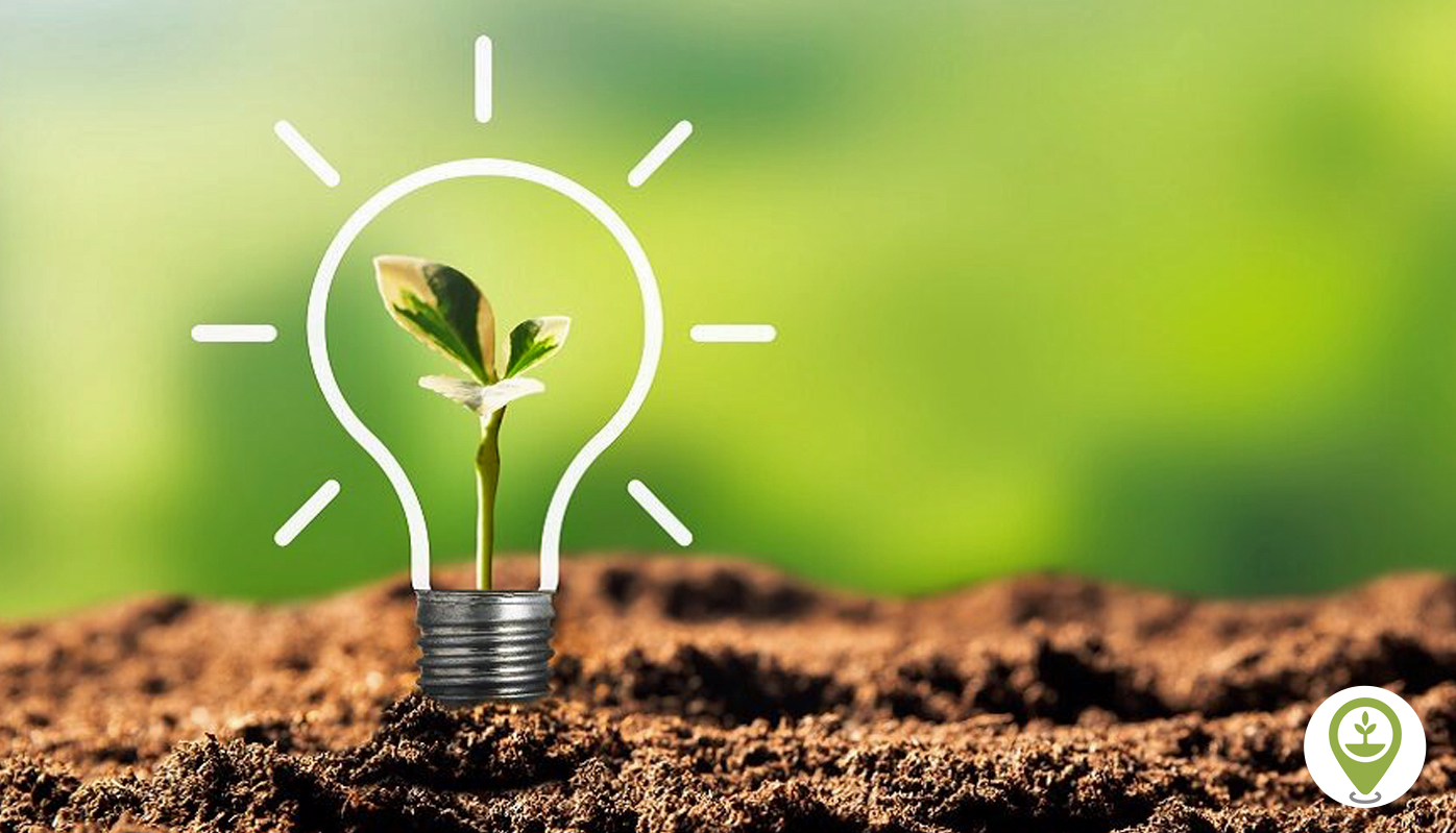 Sustainability efforts lead to satisfying success, exciting future plans