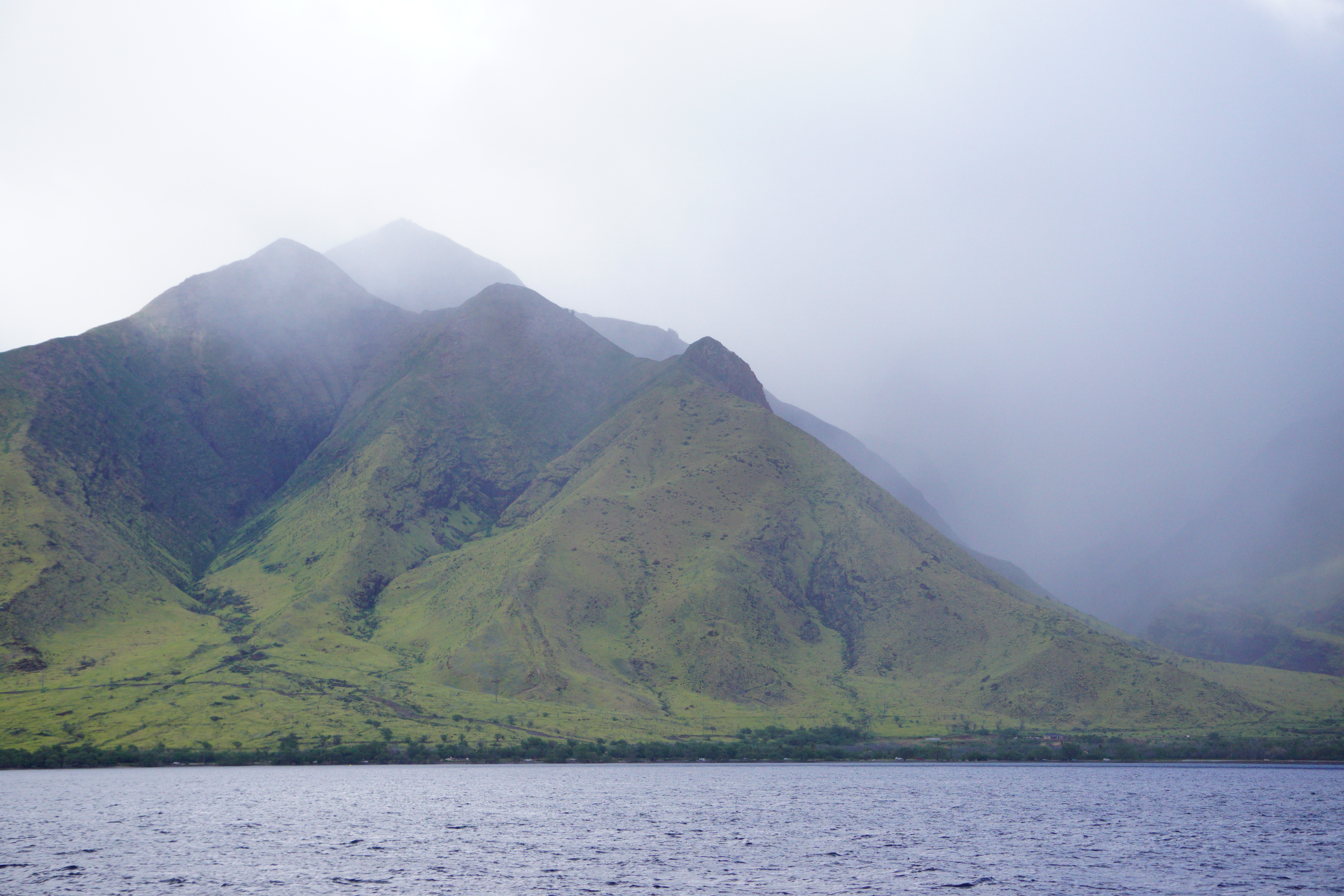 Mary McKay’s Photography Portfolio