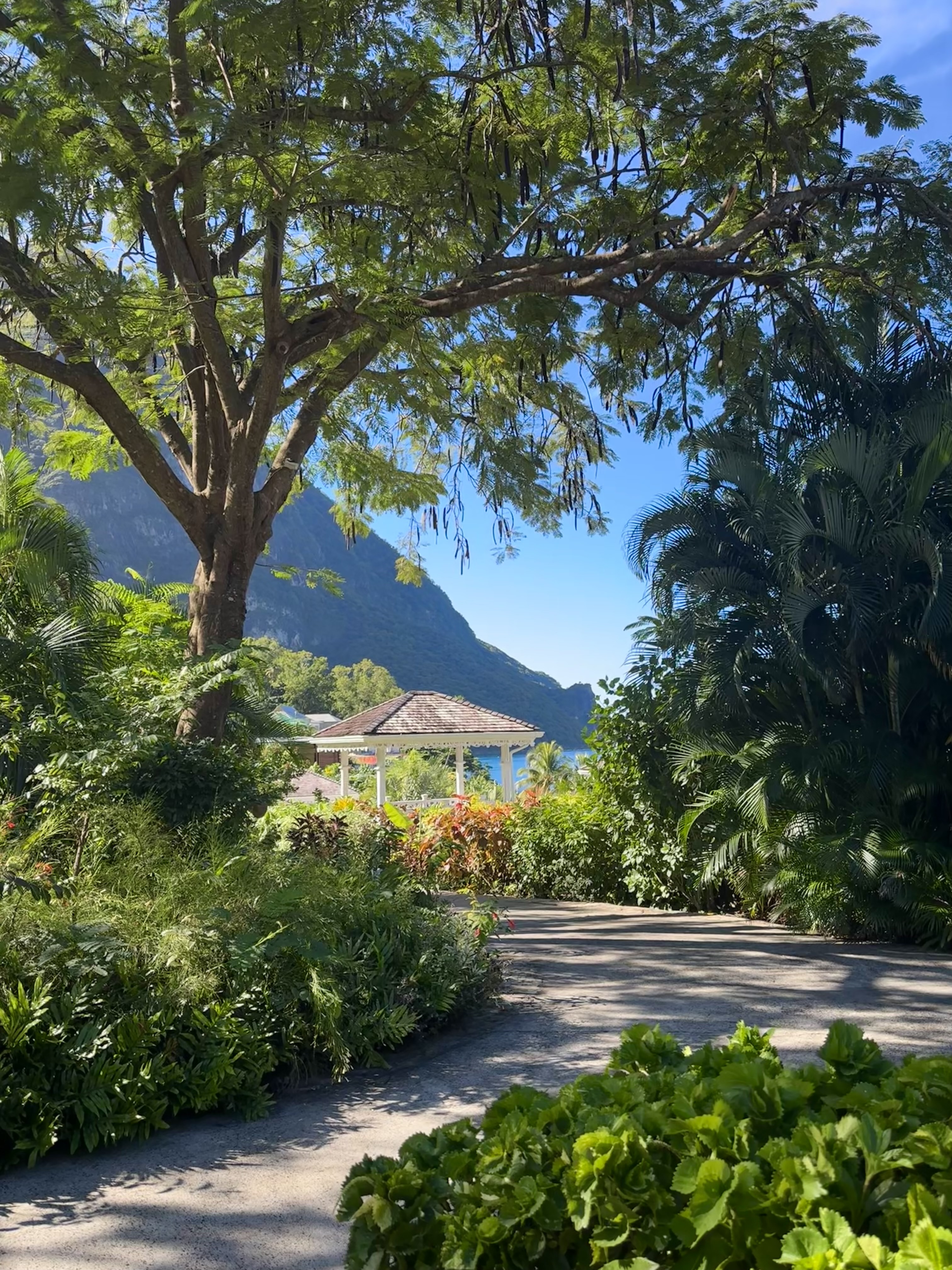 Chloe Quinn’s Photo Portfolio