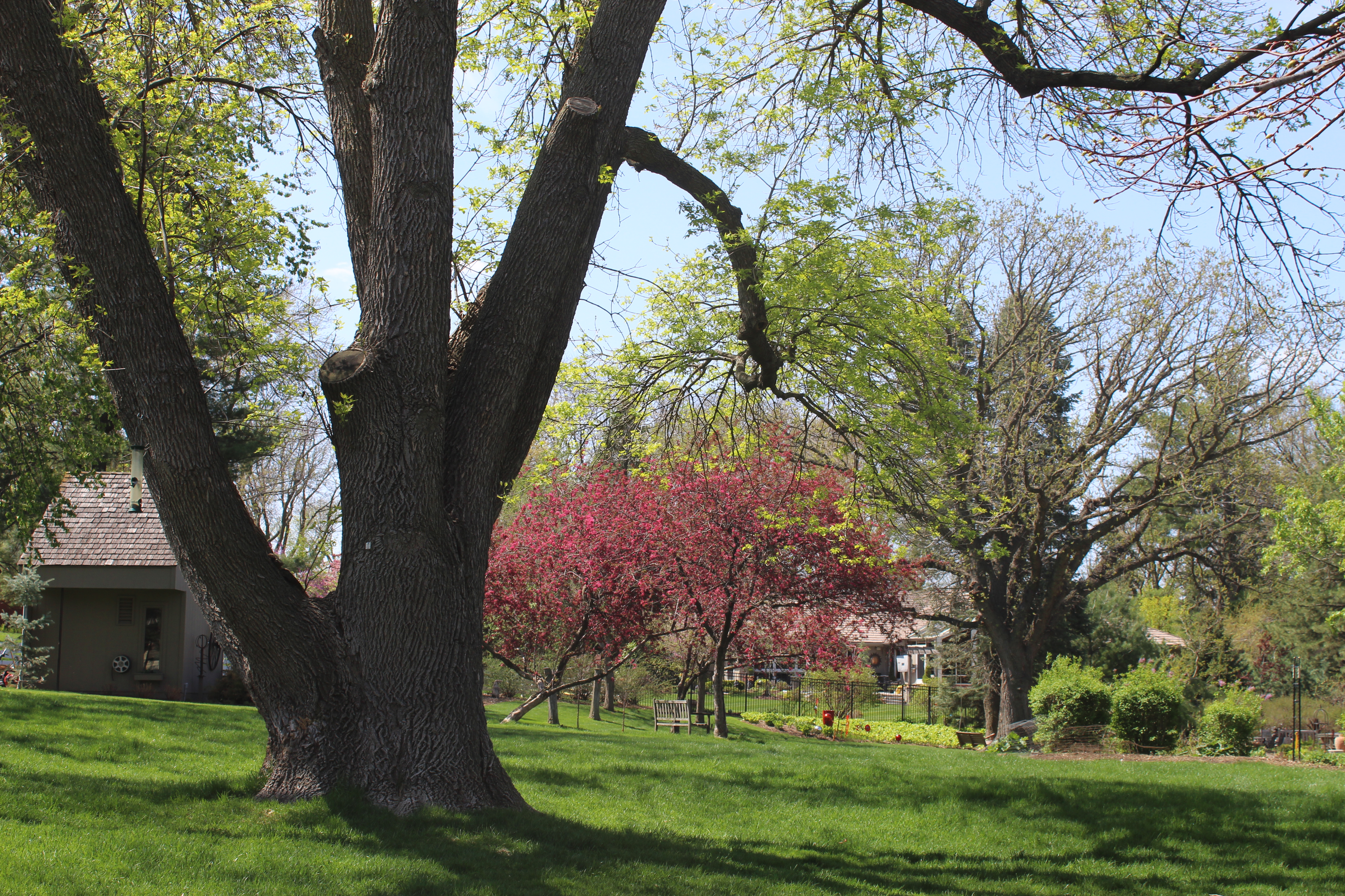 Margaret Hiatt’s Photo Portfolio.