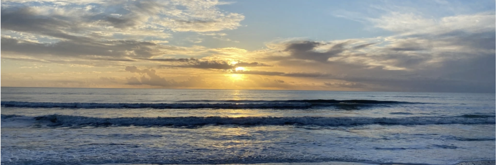 Elena Burt’s Photo Portfolio