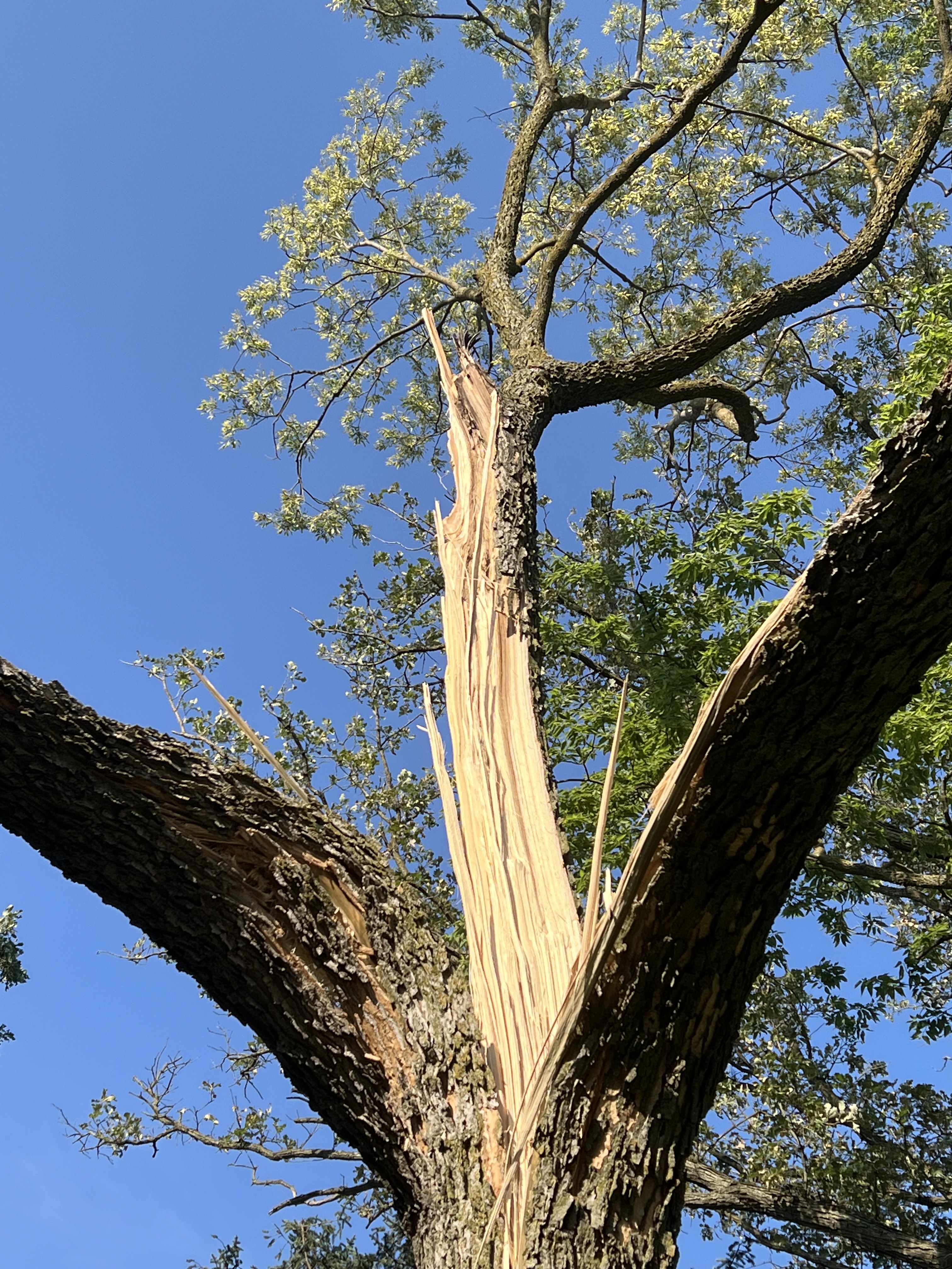 Bad Luck In Omaha Community, Another Severe Storm Strikes Close to Home