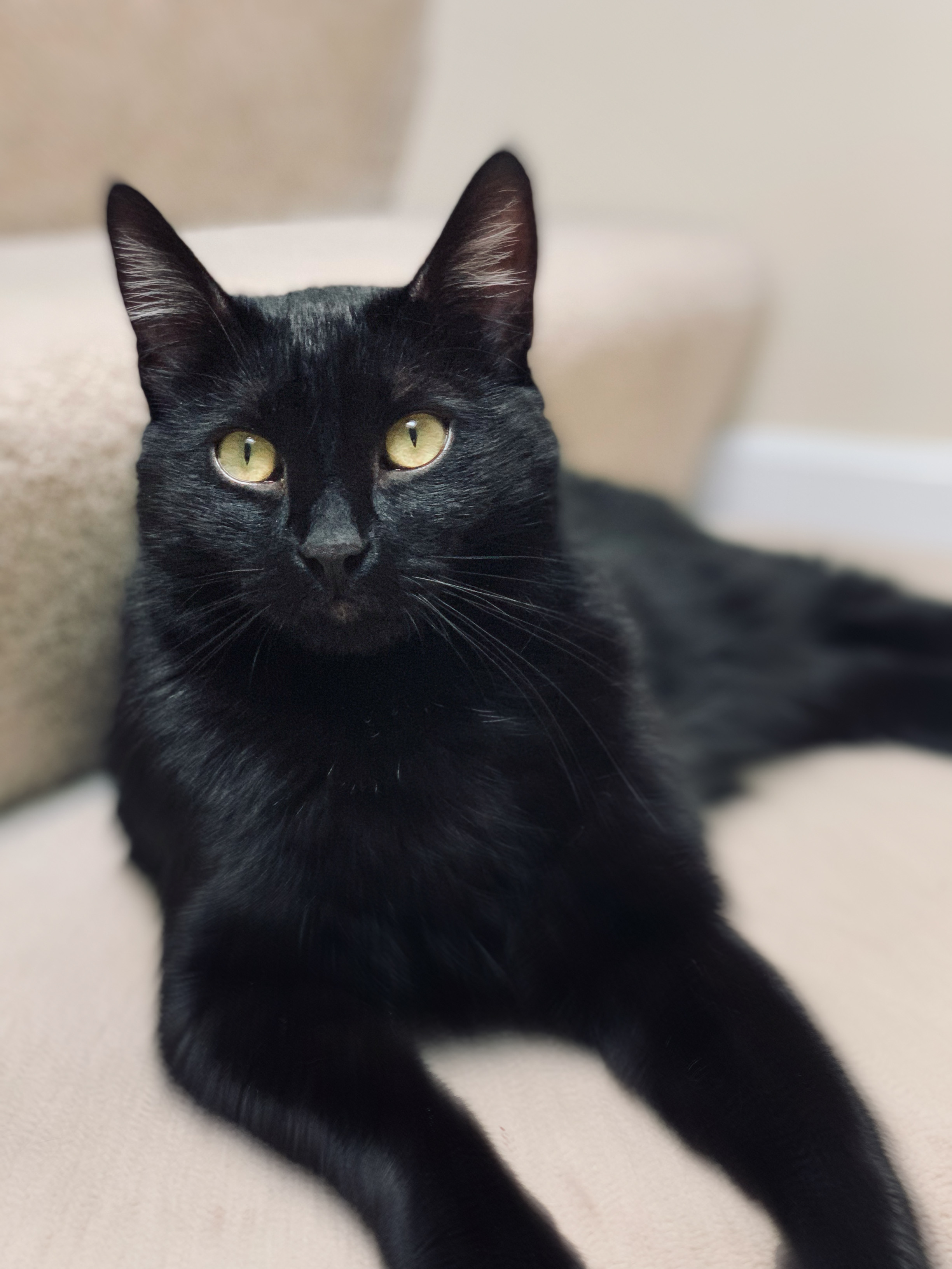 Amira’s Photo Portfolio