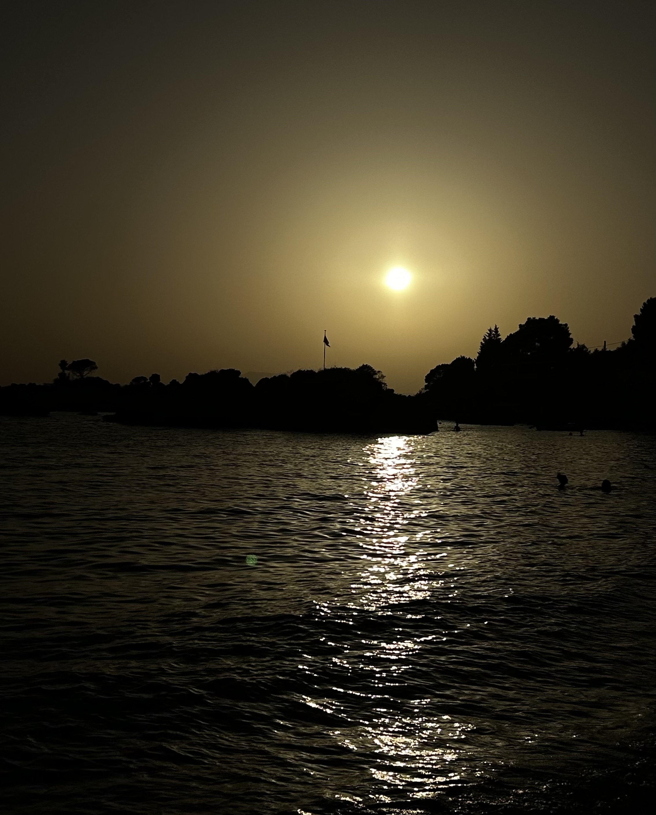 Eliana’s Cool Portfolio