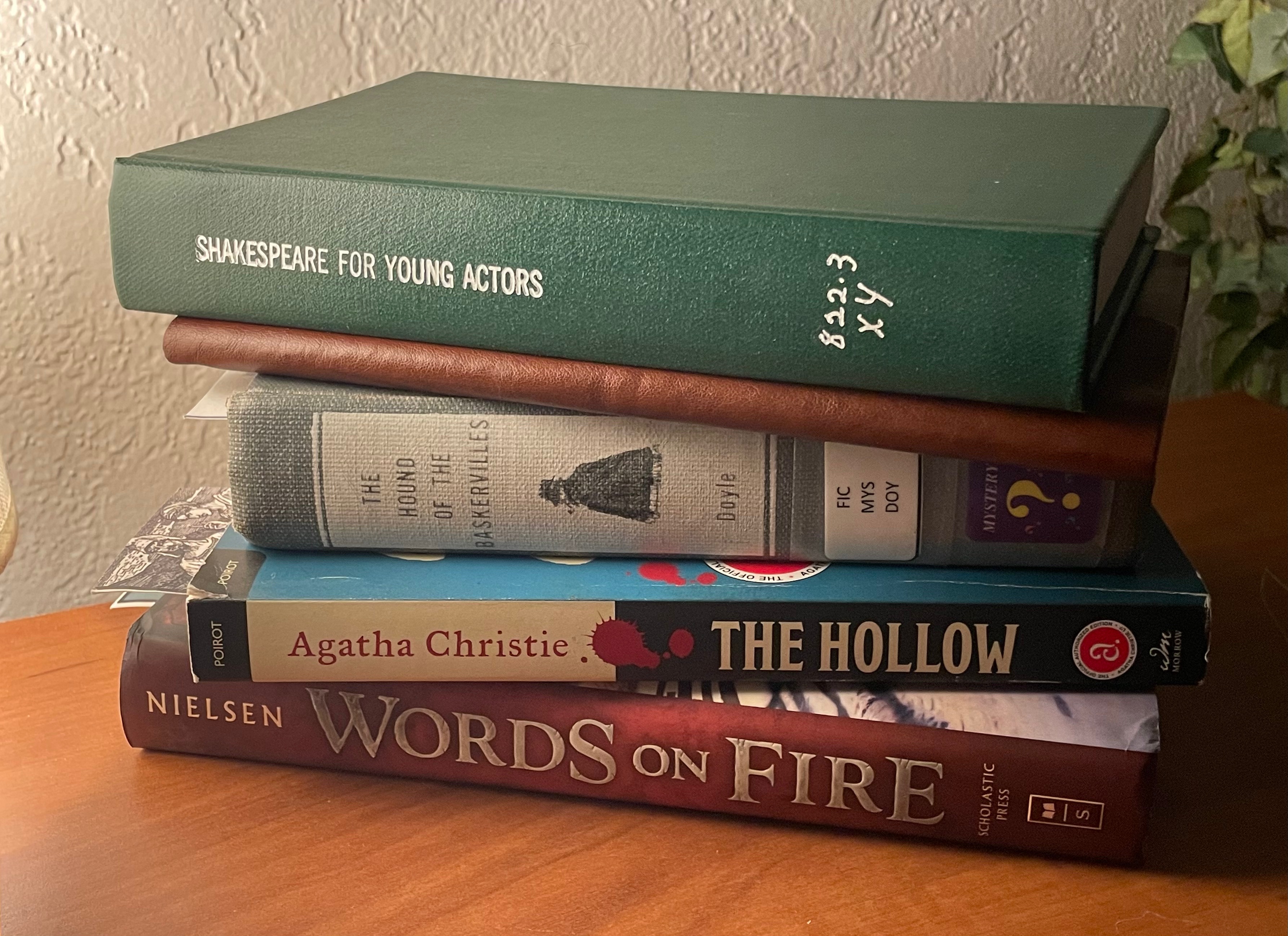 Lost in the Shelves: The Goodness Behind Books & Their Readers