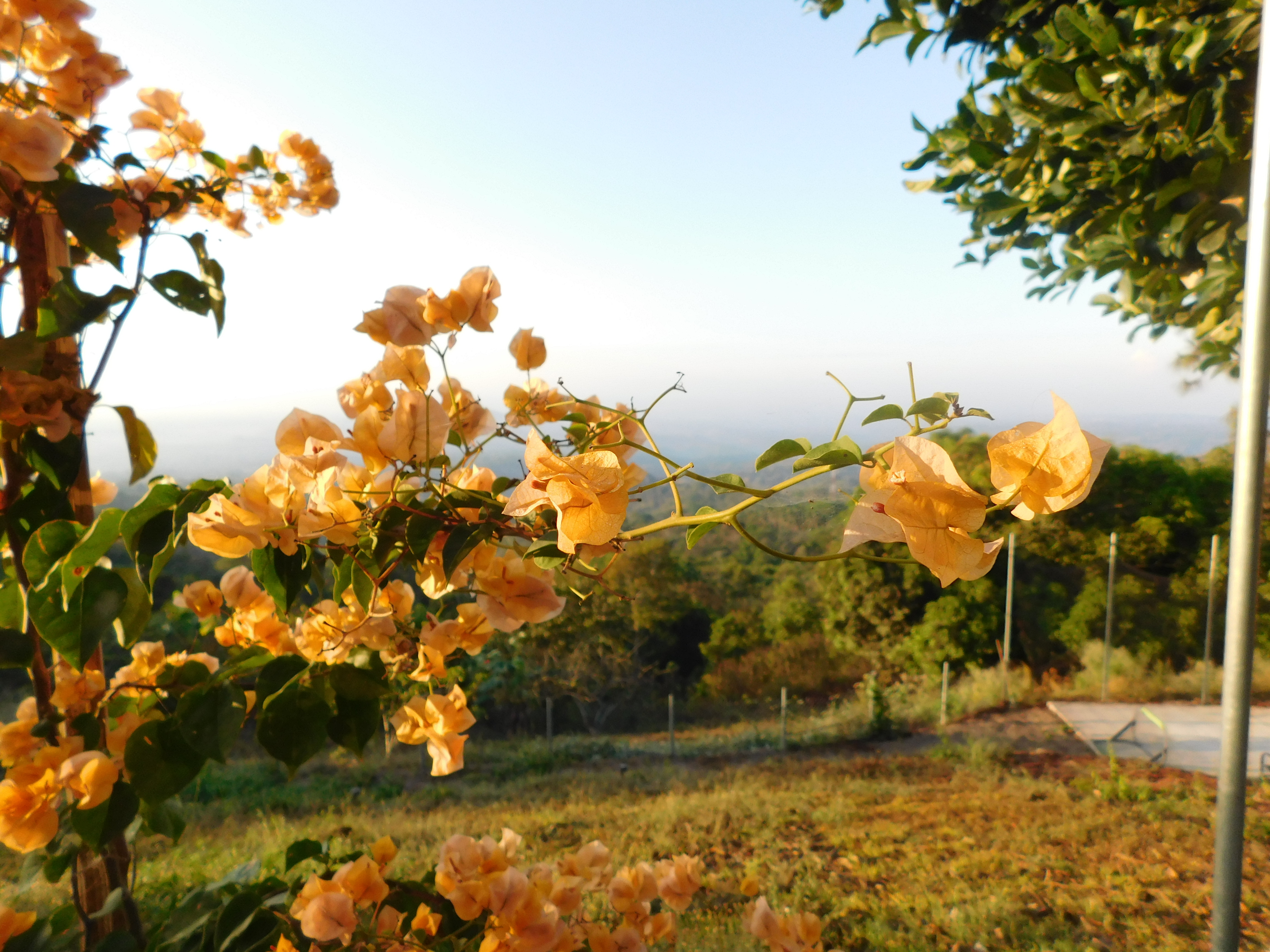 Izumi’s Point of View