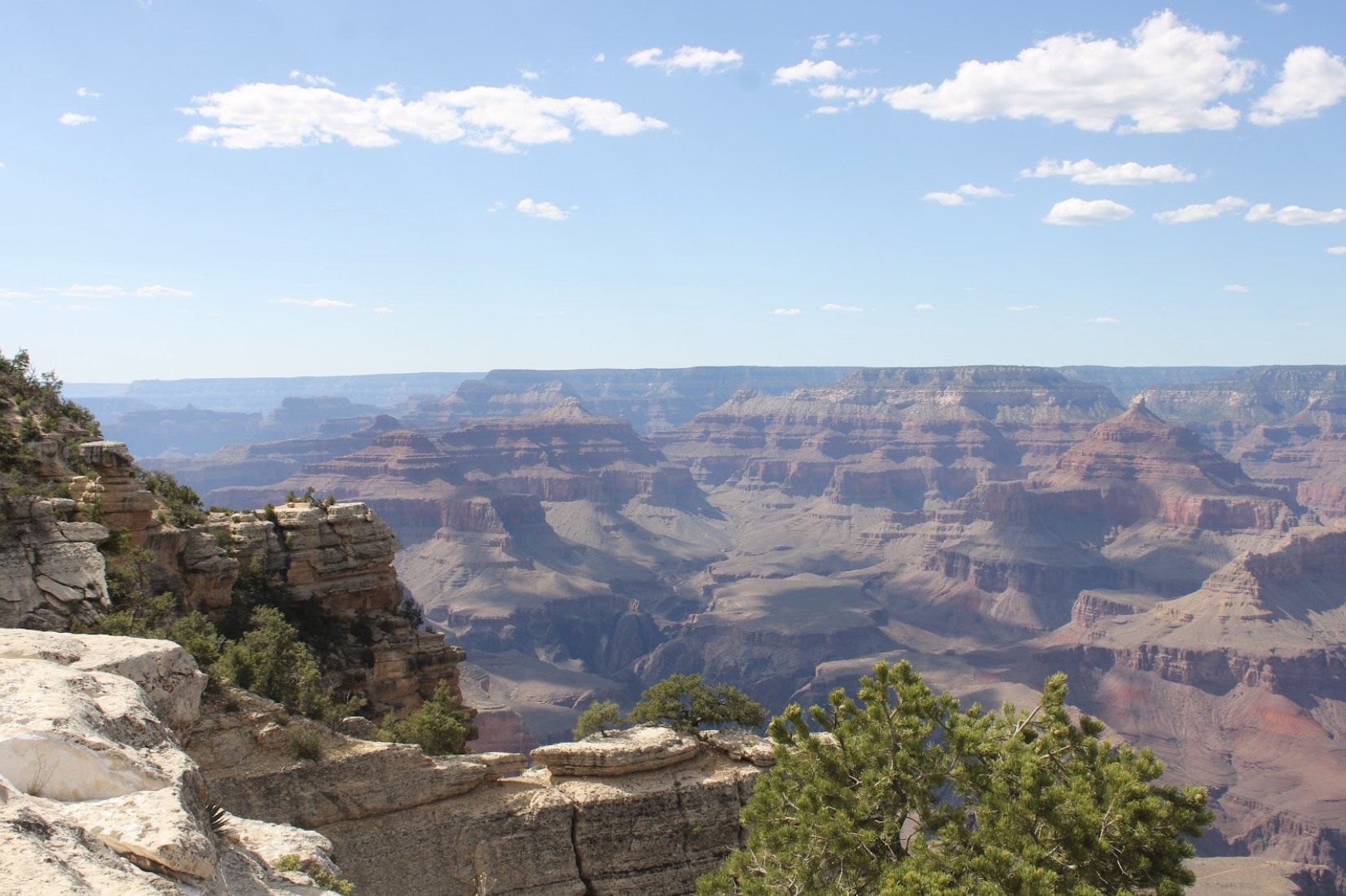 Lauren’s Lively Portfolio