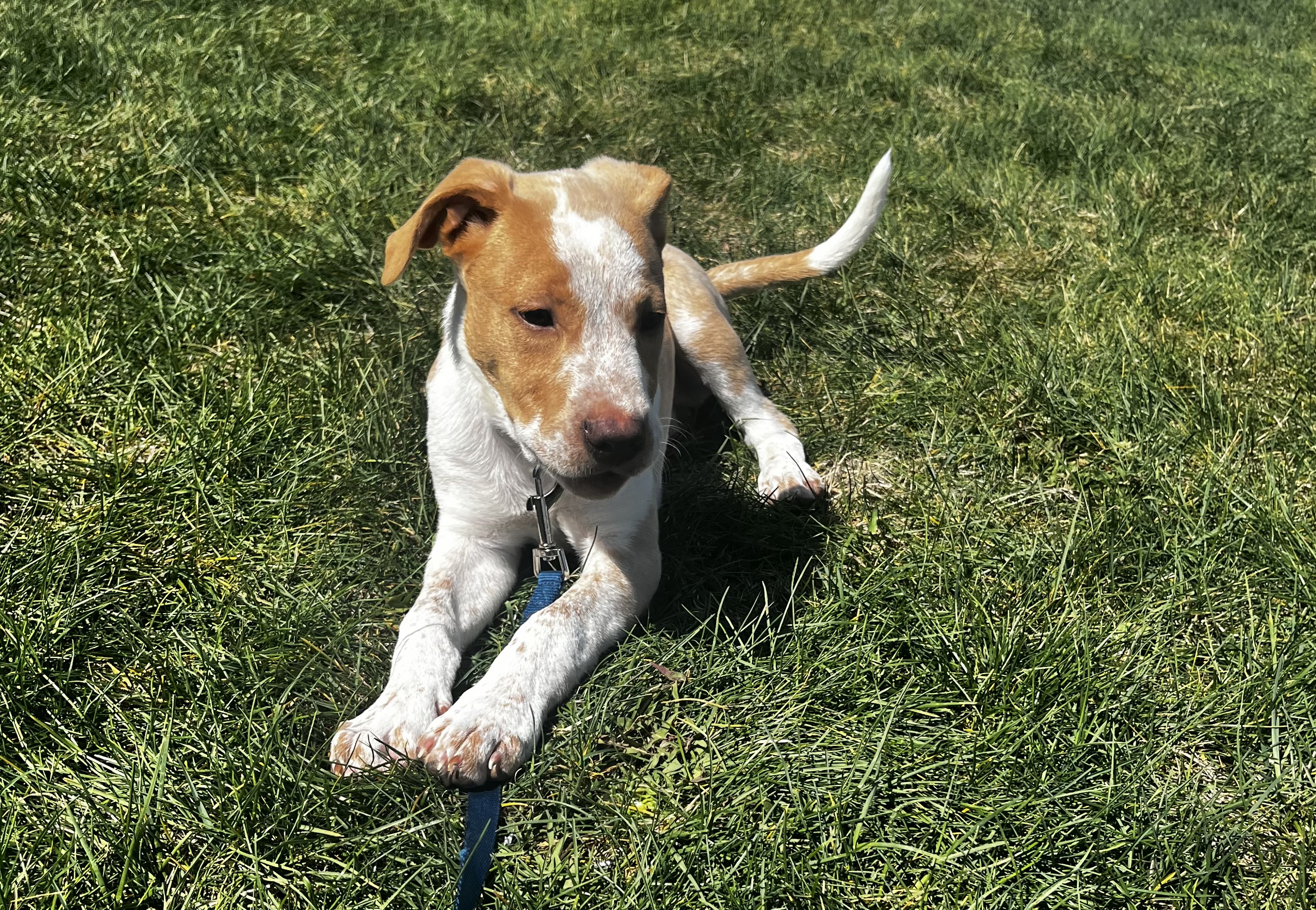 Natalia’s Life Behind the Lense