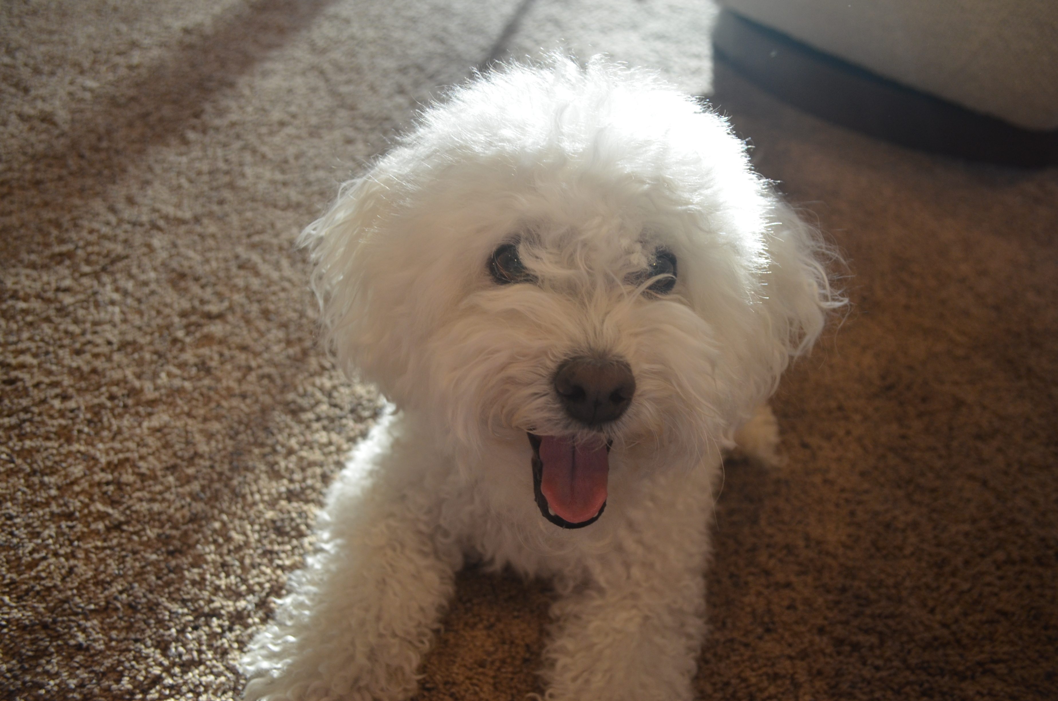 Brooklyn’s Bold Moments