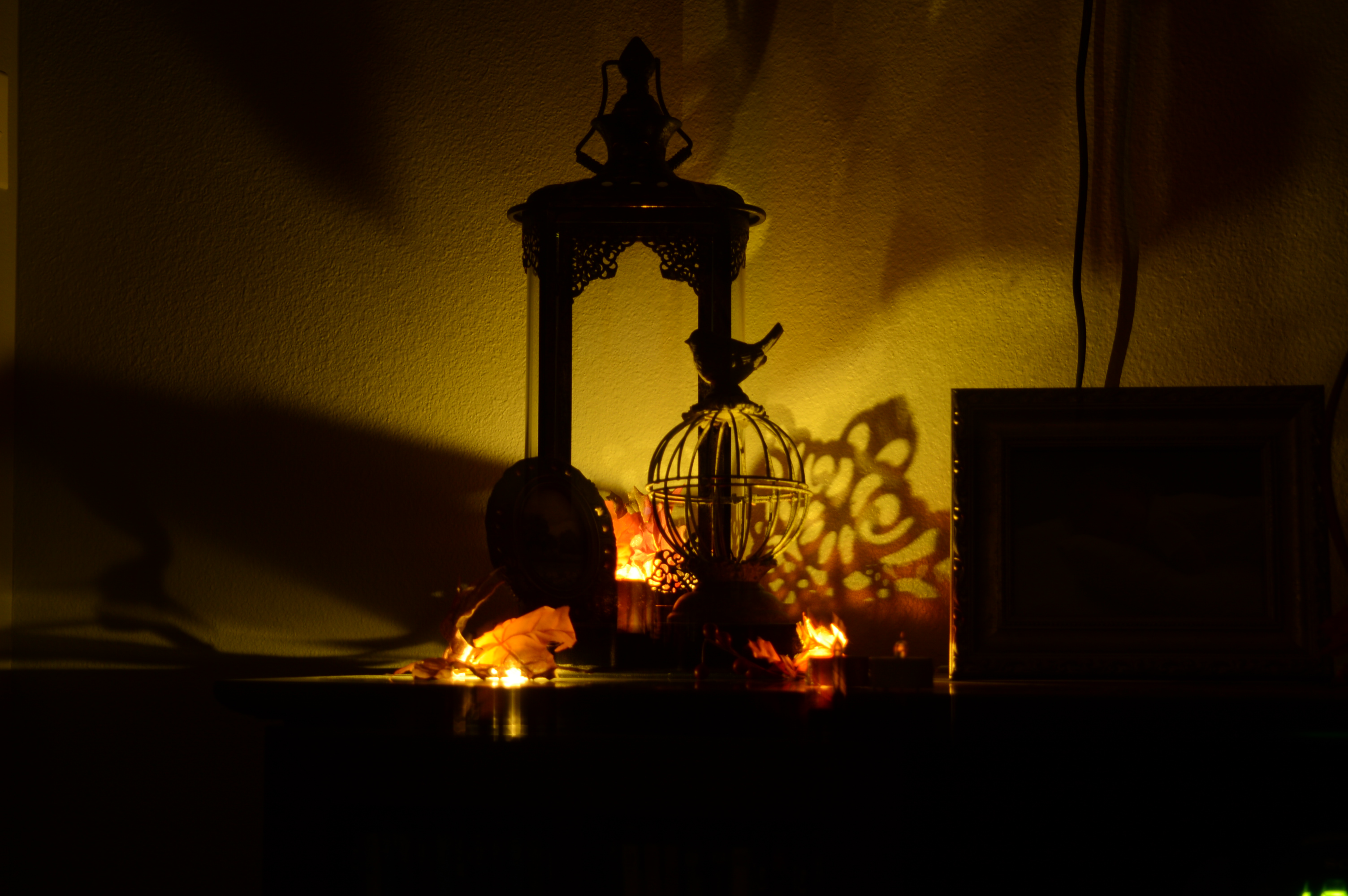 Sophie’s Highlights of Fall 2025