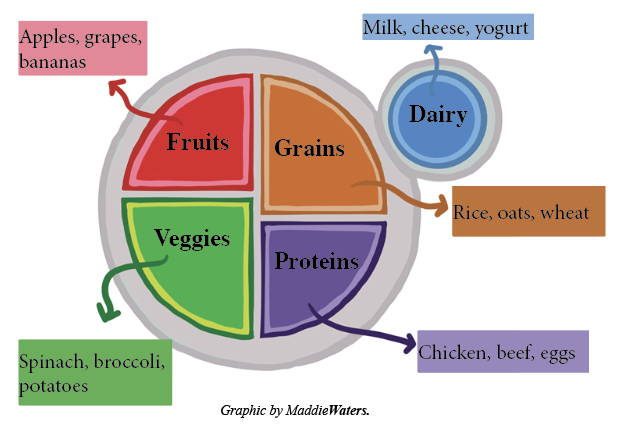 Sports nutrition concerns resurface in female athletes